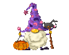 Wizard gnome