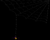 [em] spider web dangle