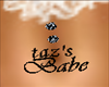 taz'sbabe