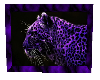Purple Wildcat