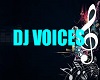 ER- DJ VOICES