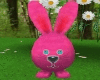 Bouncy Pink Bunny