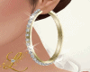 Earrings/Bracelet