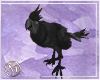 ℳ▸Pirate Parrot
