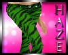 *Haze* Zebra Lime