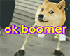 [W] OK BOOMER