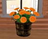 ~Flower Basket~
