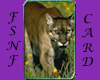 Mountain Lion Card