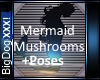 [BD]MermaidMushrooms