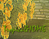 TH/Aromatic Garden APT