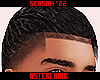 †. Asteri Hair 33 fd