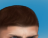 Benn Hair Brown