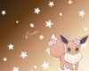 Eevee Couple Hoodie(M)