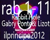 Rabbit Hole Ponte-Lizot