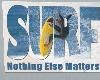 Surf Nothing else matter