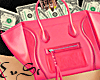 ꕤ Money  bag