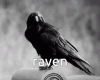 Raven