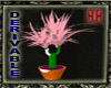 [Ayo] Derivable plant 14