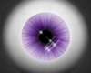 [2709]LilacSparkle Eyes