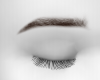 Cara Eyebrow