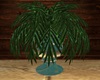 Country Potted Plant 2