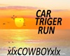 triger car sign