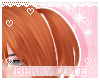 ♡ Piggie Tails+ Ginger