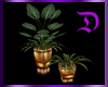 DT-Plant Set Elegant