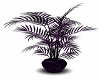 [KR]Sentaion Plant