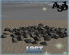 A3D* Stones