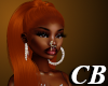 CB- Vesta Ginga