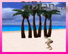 21b-beach palms