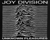 Black Tee Joy Division