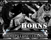 horns 2