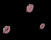 Pink Kiss Pop
