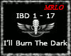 *(IBD)* Burn The Dark