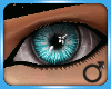 Gleam eyes - Aqua