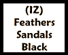(IZ) Feathers Black