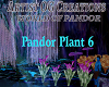 Pandor Plant 6