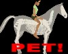 !Ghost Horse Pet + Sound