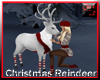 CHRISTMAS reindeer anim.