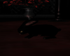 Rabbit anim.