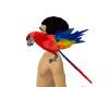 SG4 Pet Parrot
