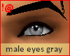 !@ Male eyes 9 gray
