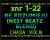 NE ROZUMIJU (RMX)