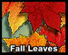 llzM.. Fall Leaves