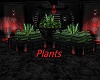 Plants V-day