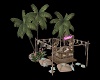 bar plage