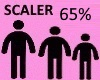 Scaler 65%