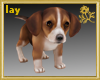 Beagle Puppy Pet